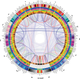 Illustration for article titled A fascinating new way to visualize your brains connections